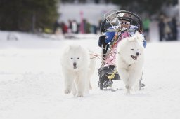 Lenzerheide 2013